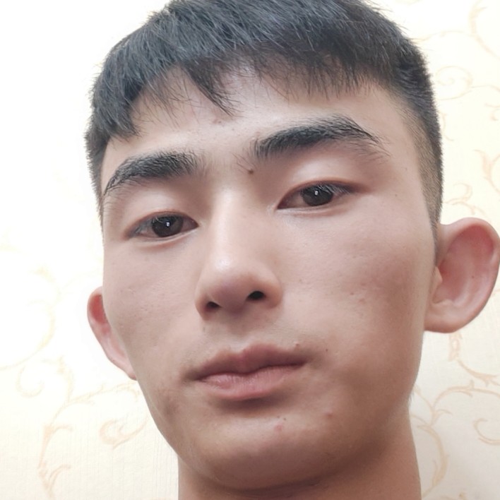 大雁蹁跹自由的照片