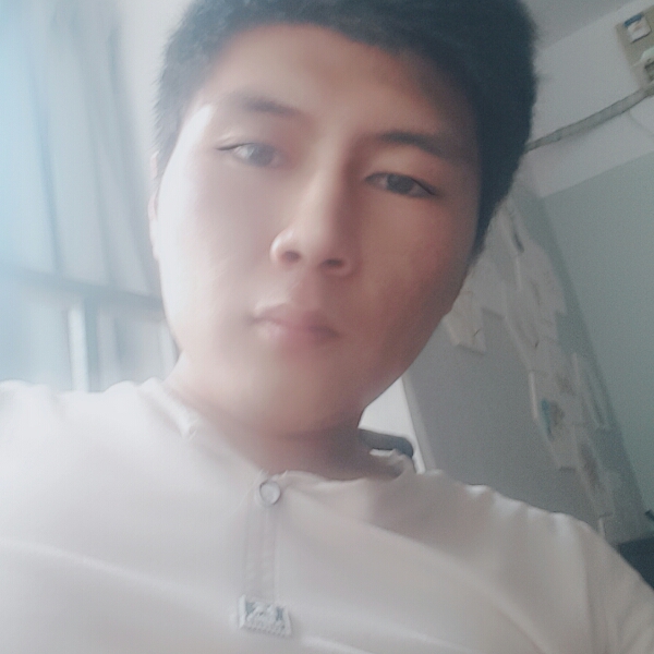 温柔用蜻蜓的照片