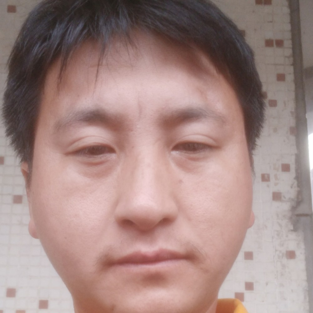 溪流漫步温柔的照片