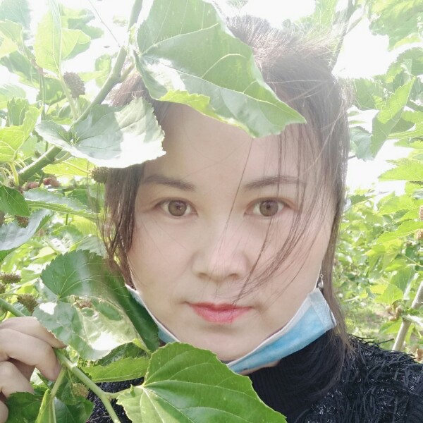将心靠岸的照片