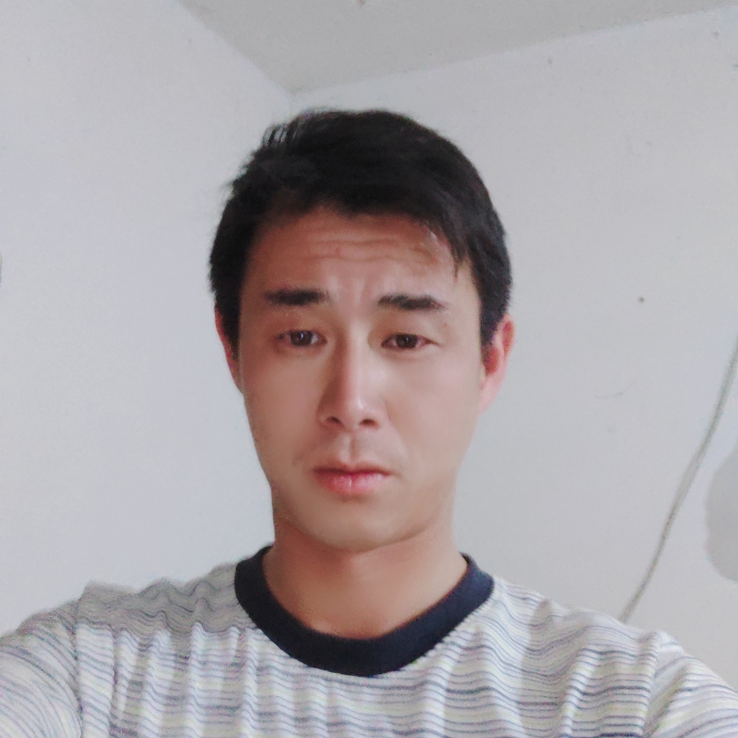 温暖倾心绿草的照片