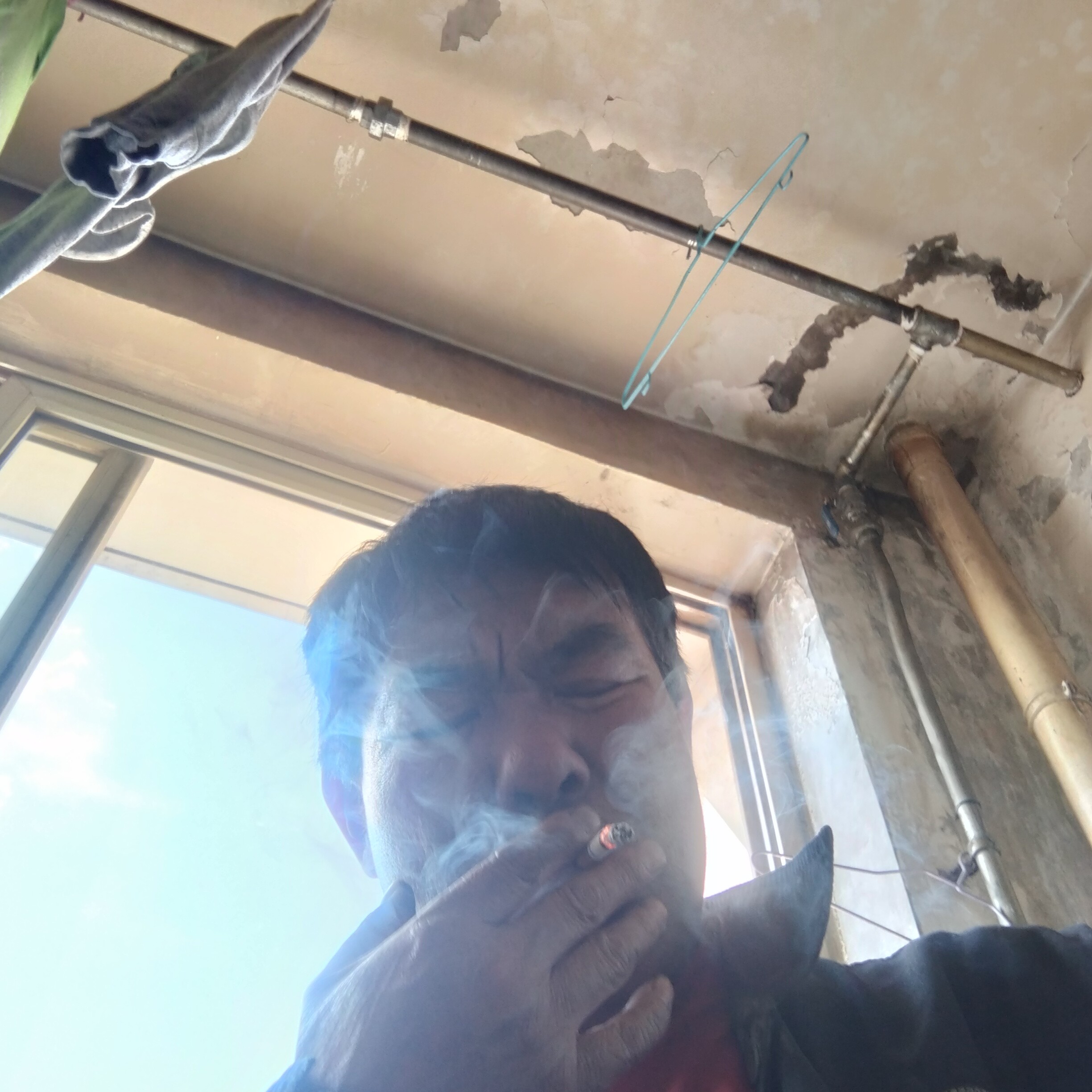 迷路情殇幸福快乐的照片