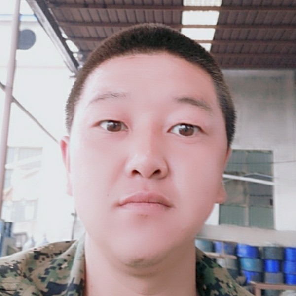 直率玉米的照片