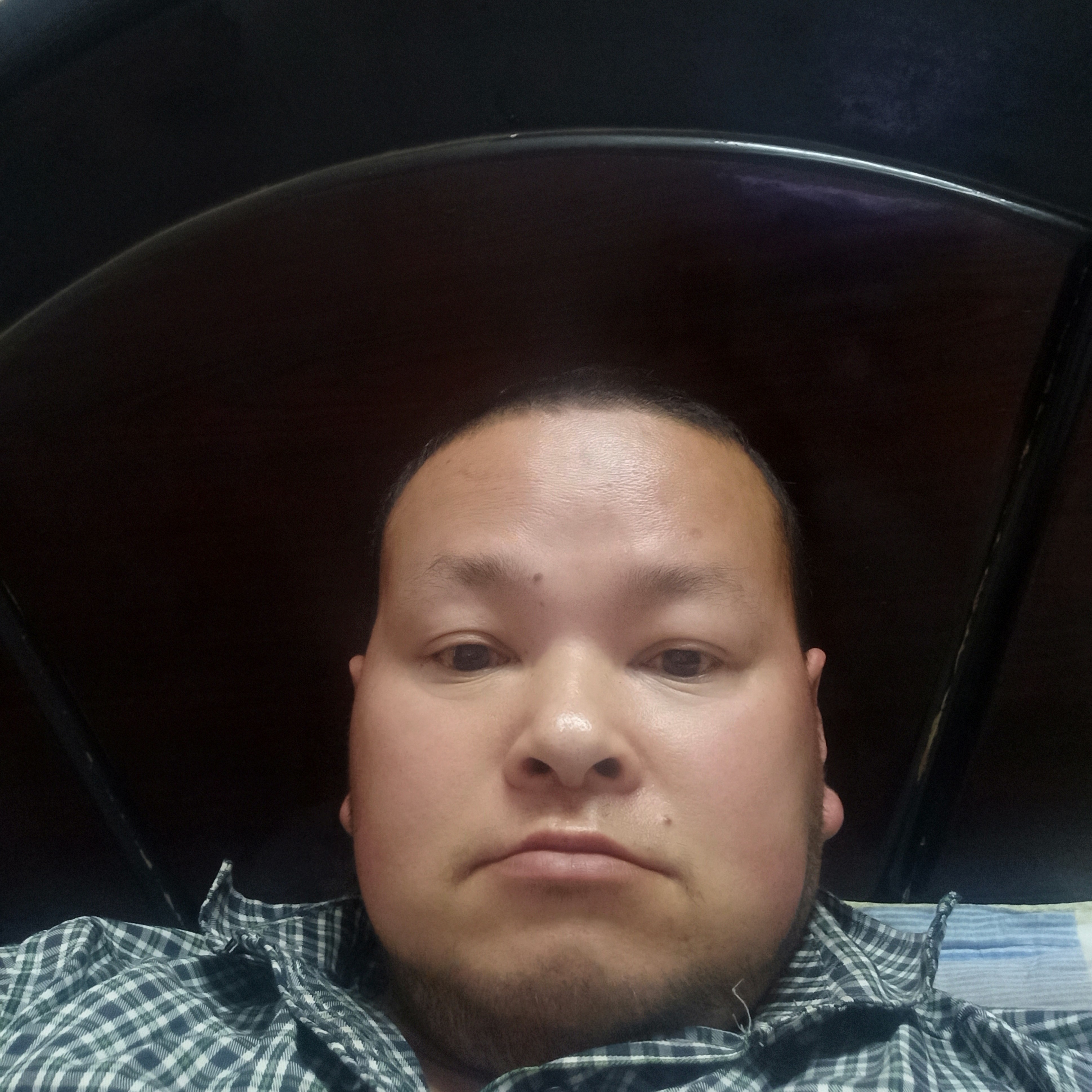 欣喜踢海燕的照片