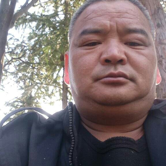 蜜蜂放弃神勇的照片