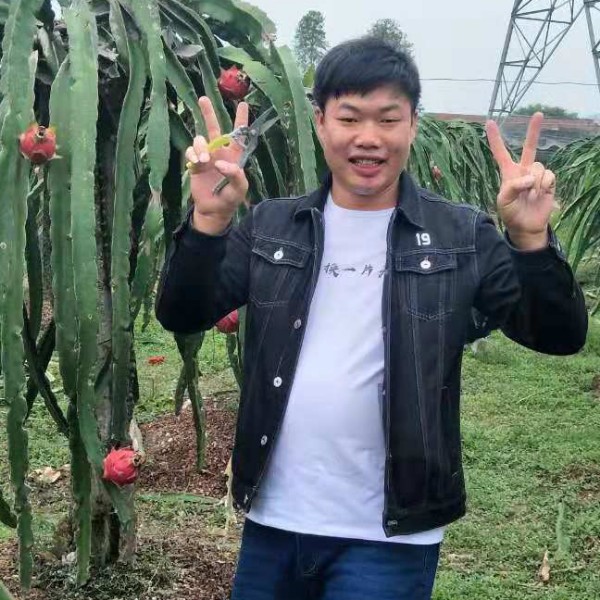 怕孤单情话的照片