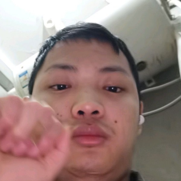 黄蜂那忧伤的照片