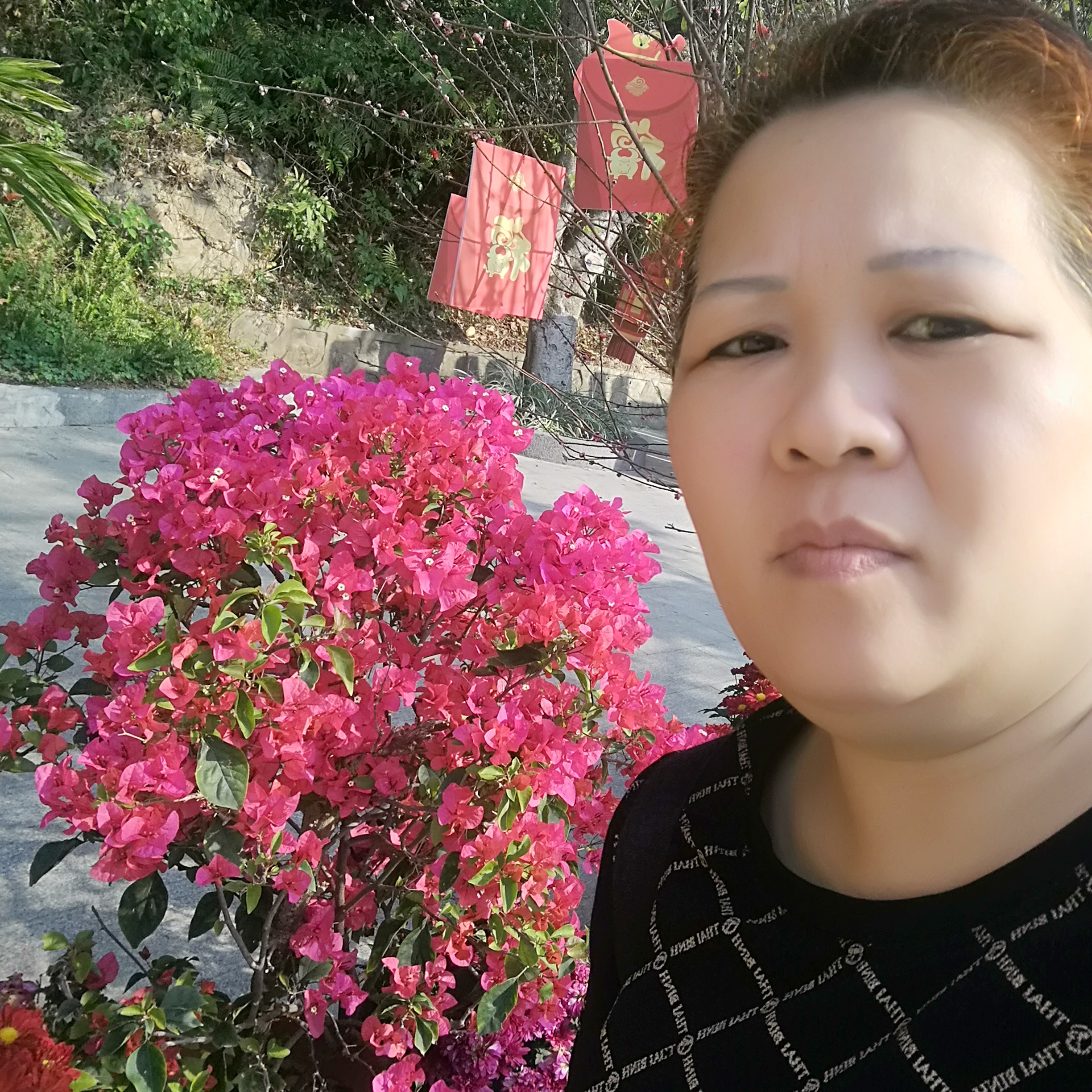 会员248383231的照片