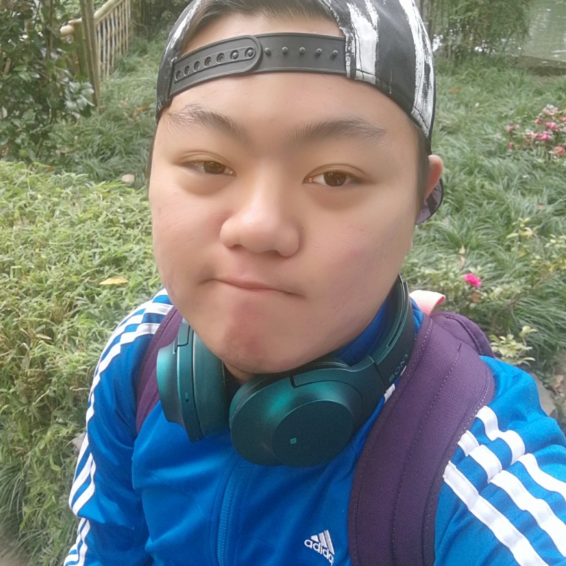 沉睡着的琥珀的照片