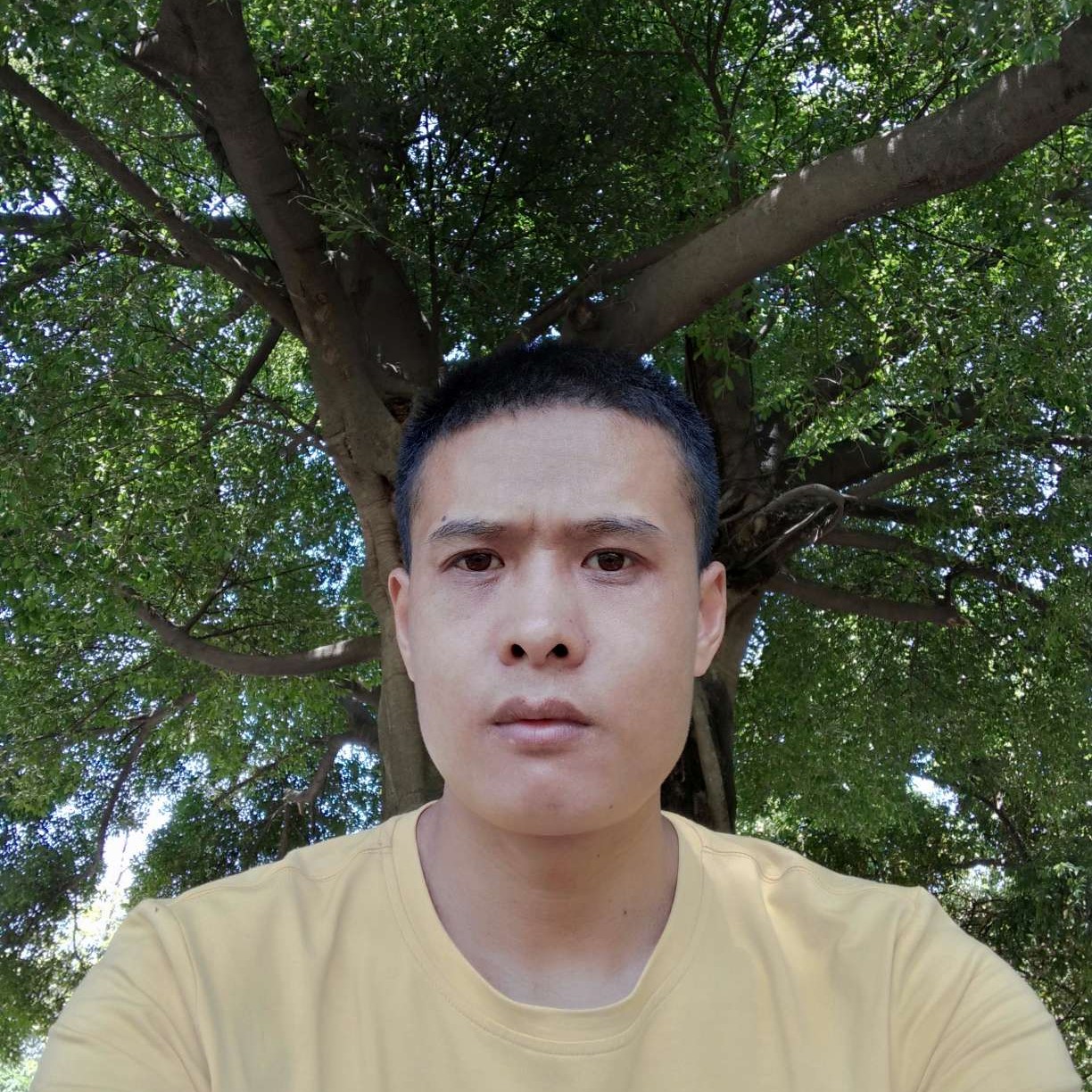 无限说溪流的照片