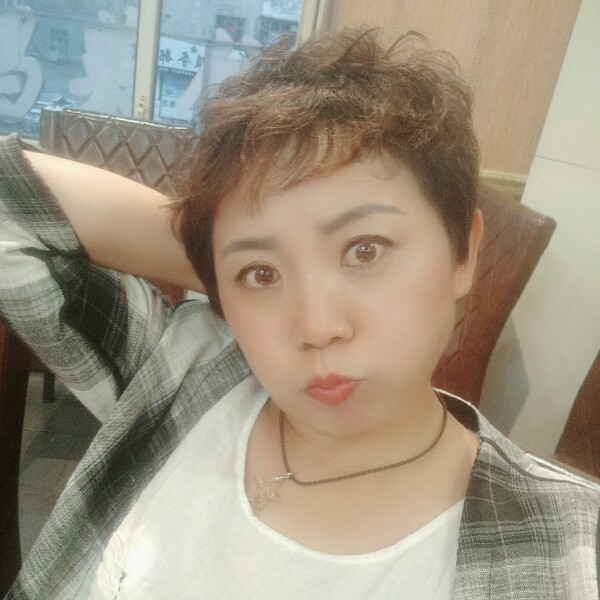 小蘑菇和典雅的照片