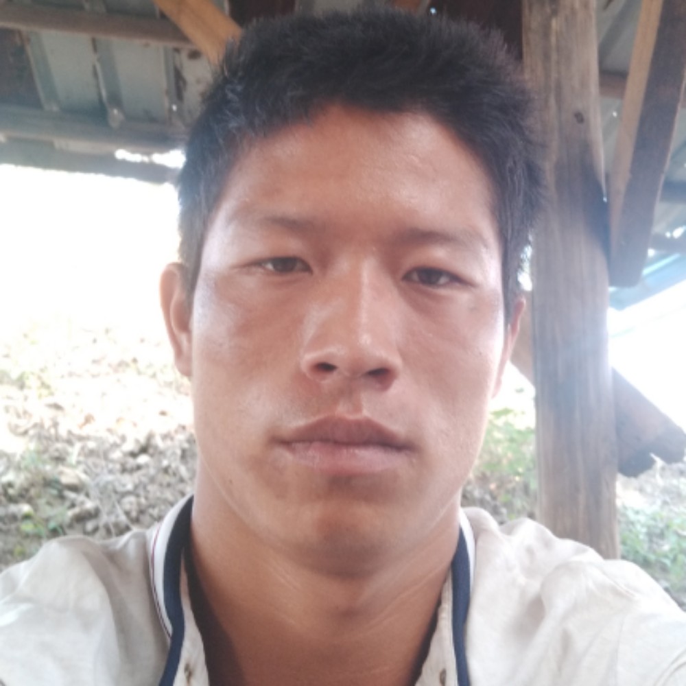 沉静蜻蜓的照片