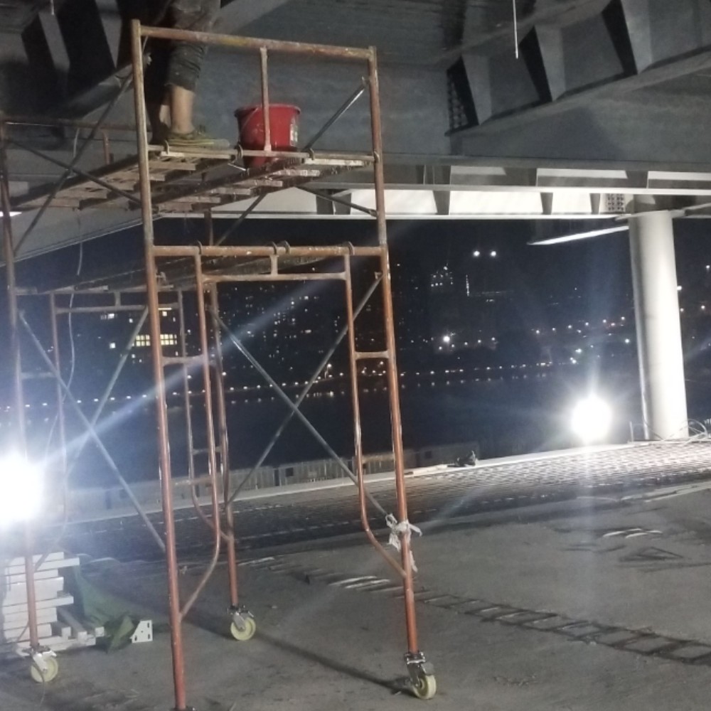 洋葱与单身的照片