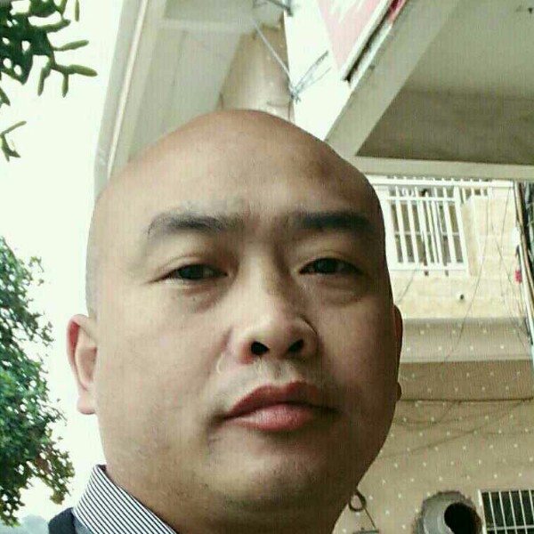 崖悔泪了绵密的照片