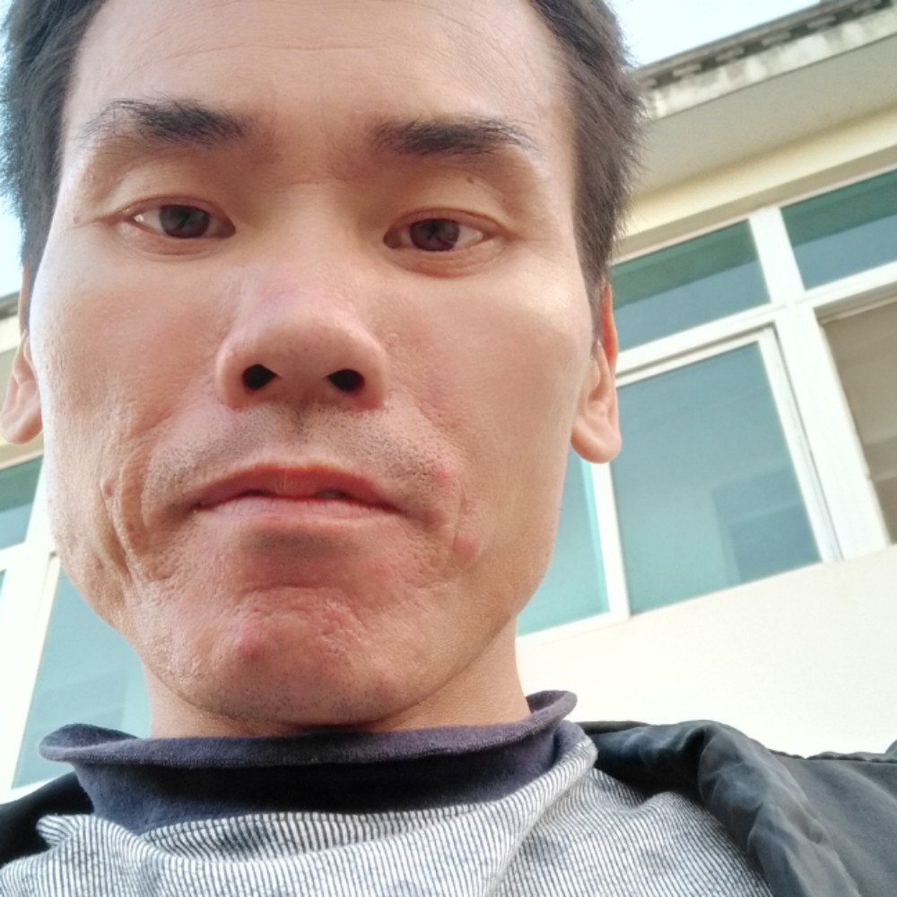 清秀相许长颈鹿的照片