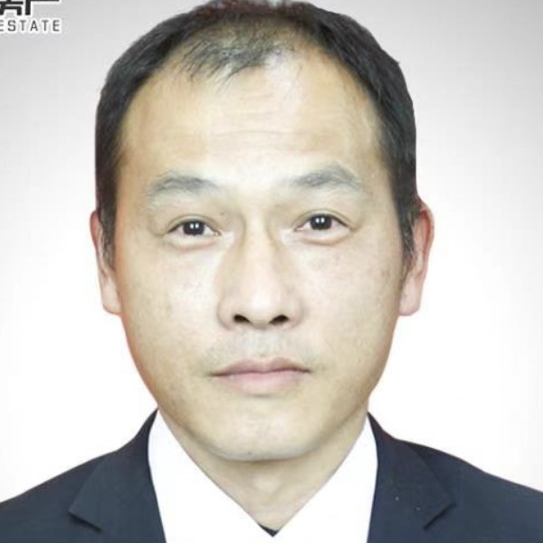 树叶魁梧的照片