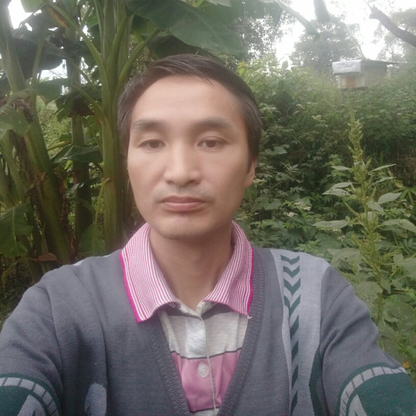 春风徐来的照片