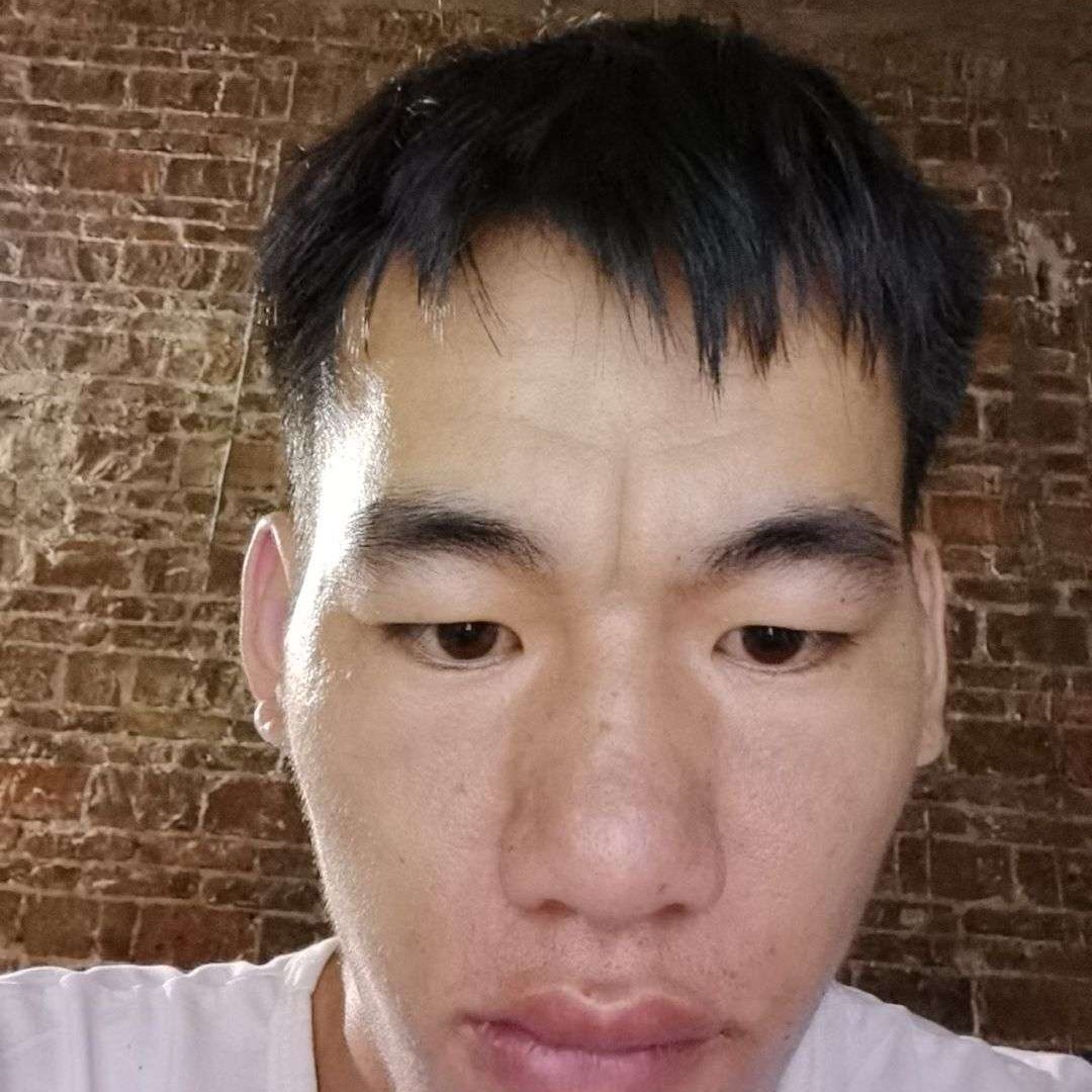 阔达浅吻砖头的照片