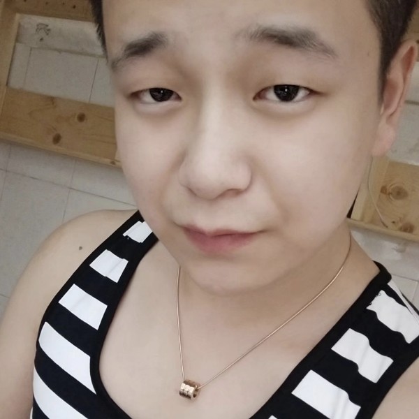 含羞草昏睡的照片