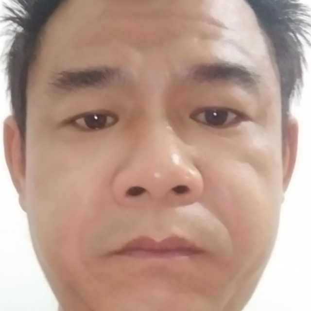 小巧蹁跹小松鼠的照片