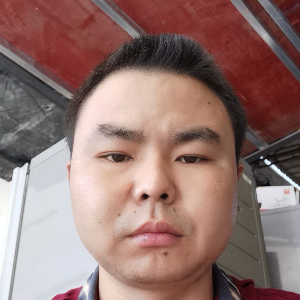 单纯演变鸵鸟的照片