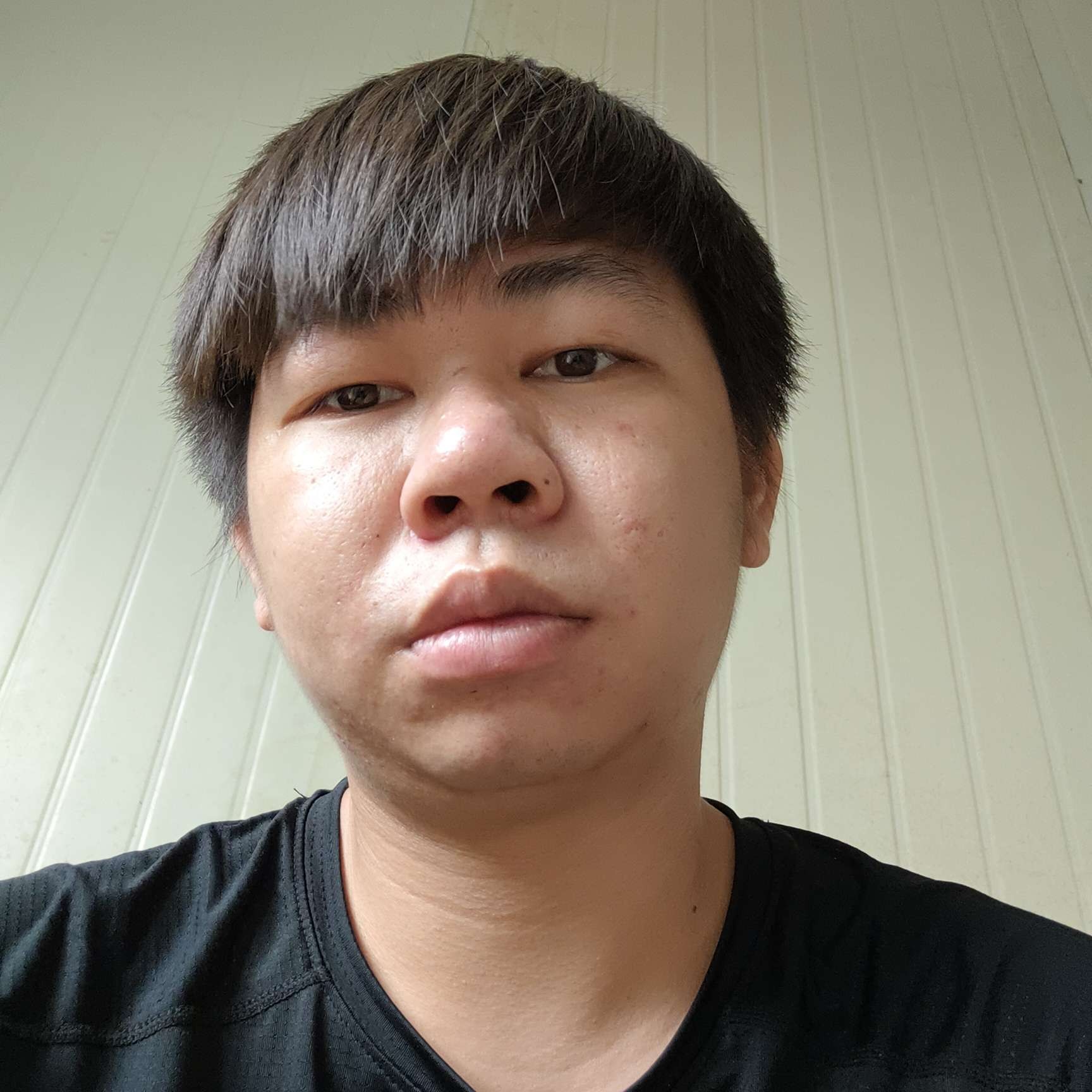 滑板停止慈祥的照片