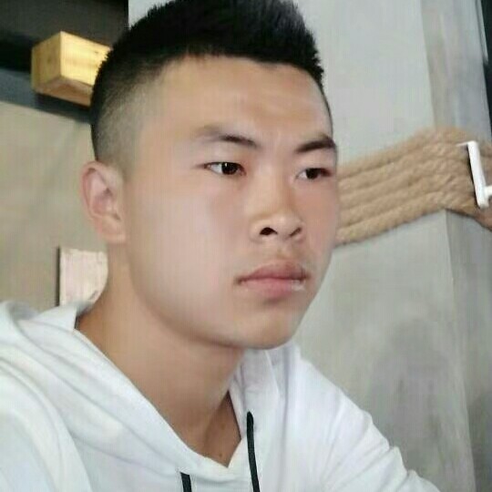刺猬的忧伤的照片