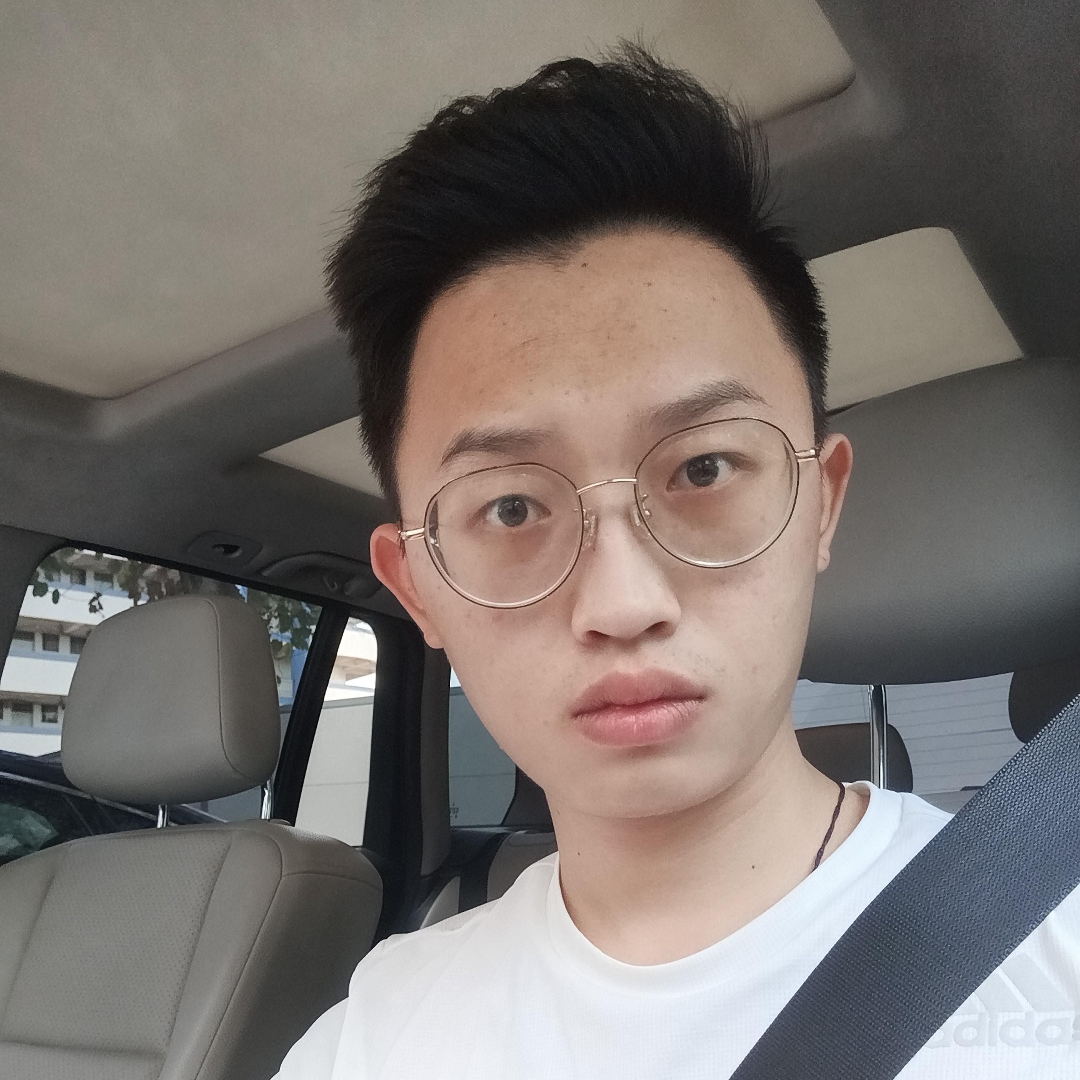 笨笨深拥彩虹的照片