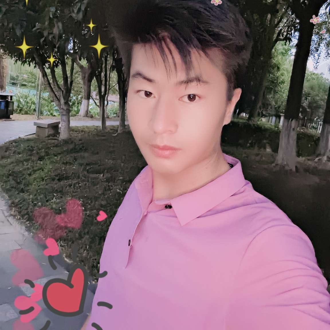 枕头高贵的照片
