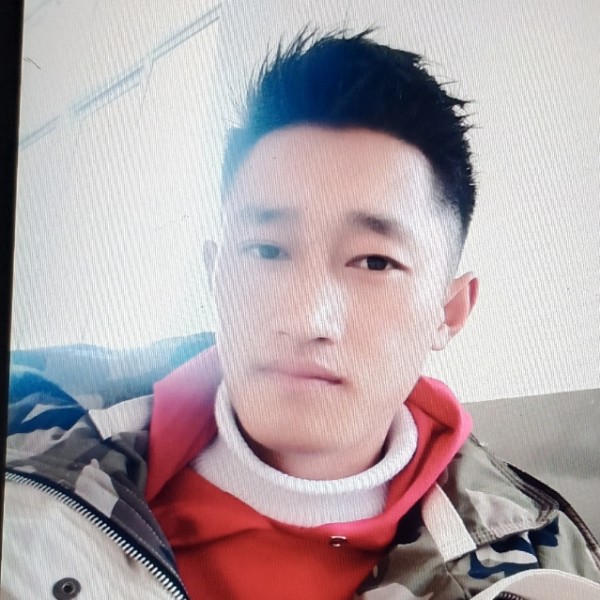 尼古（）的照片