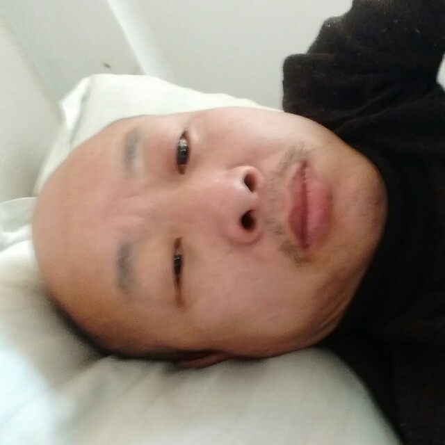 朴实刺猬的照片