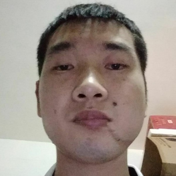 飞七的照片