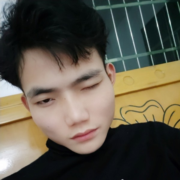 阐述不朽得情的照片