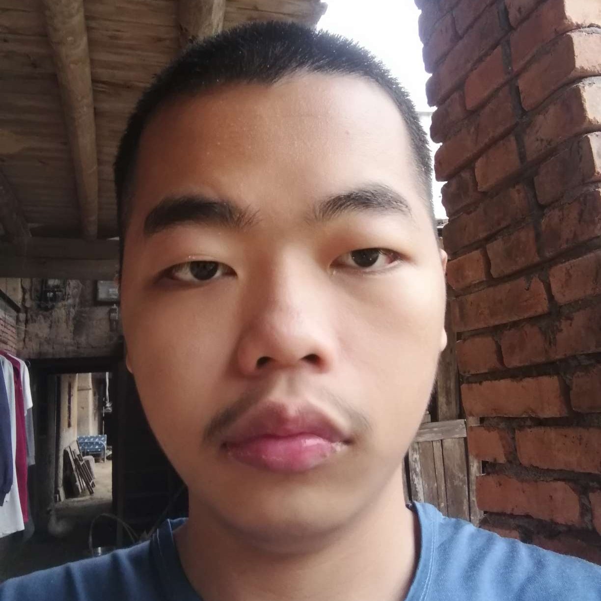 梦幻神龙l的照片