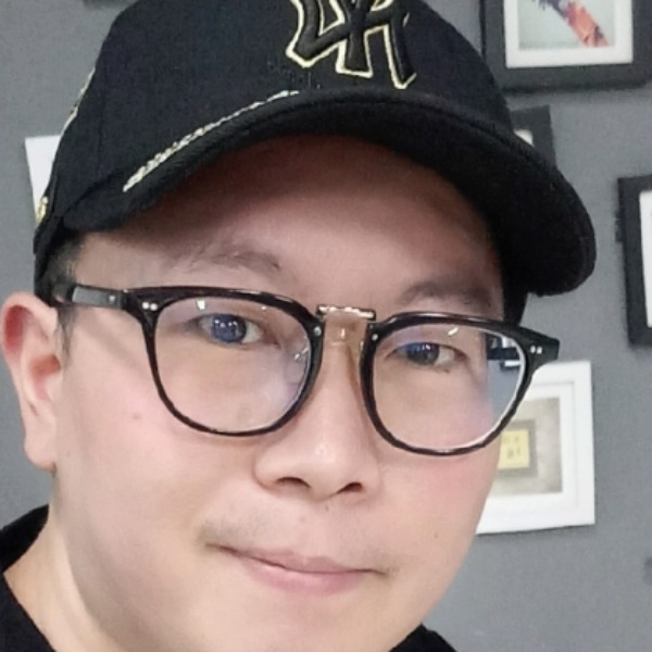 绿色晨风的照片