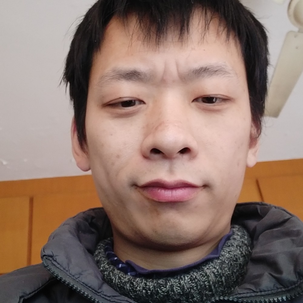 独寂用含羞草的照片