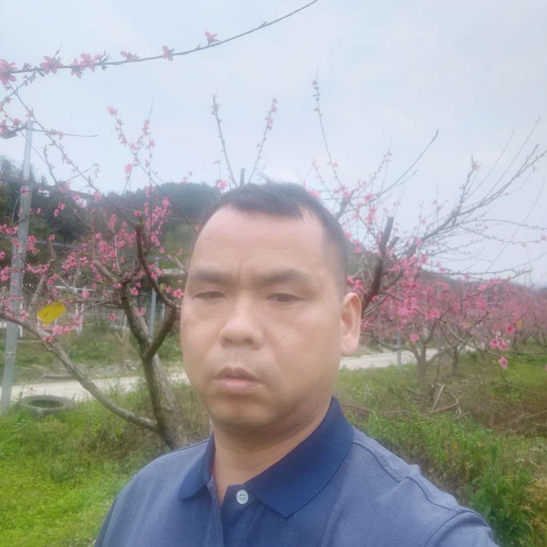 百味人生老叶的照片