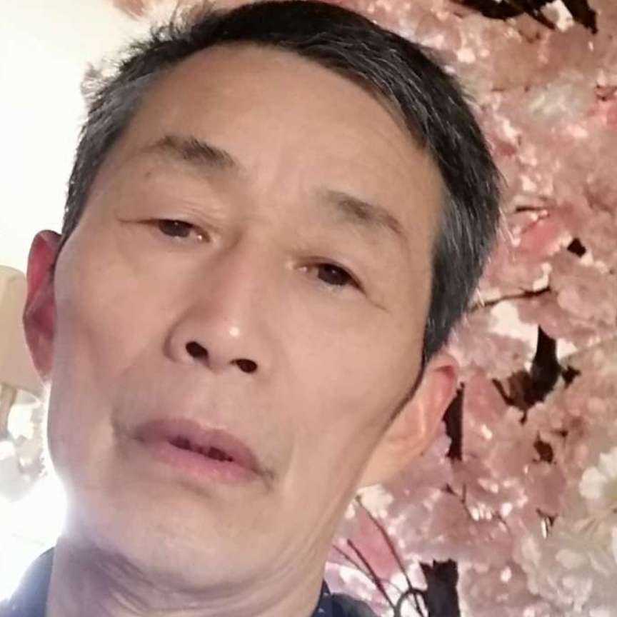 丰富爱恋纸鹤的照片