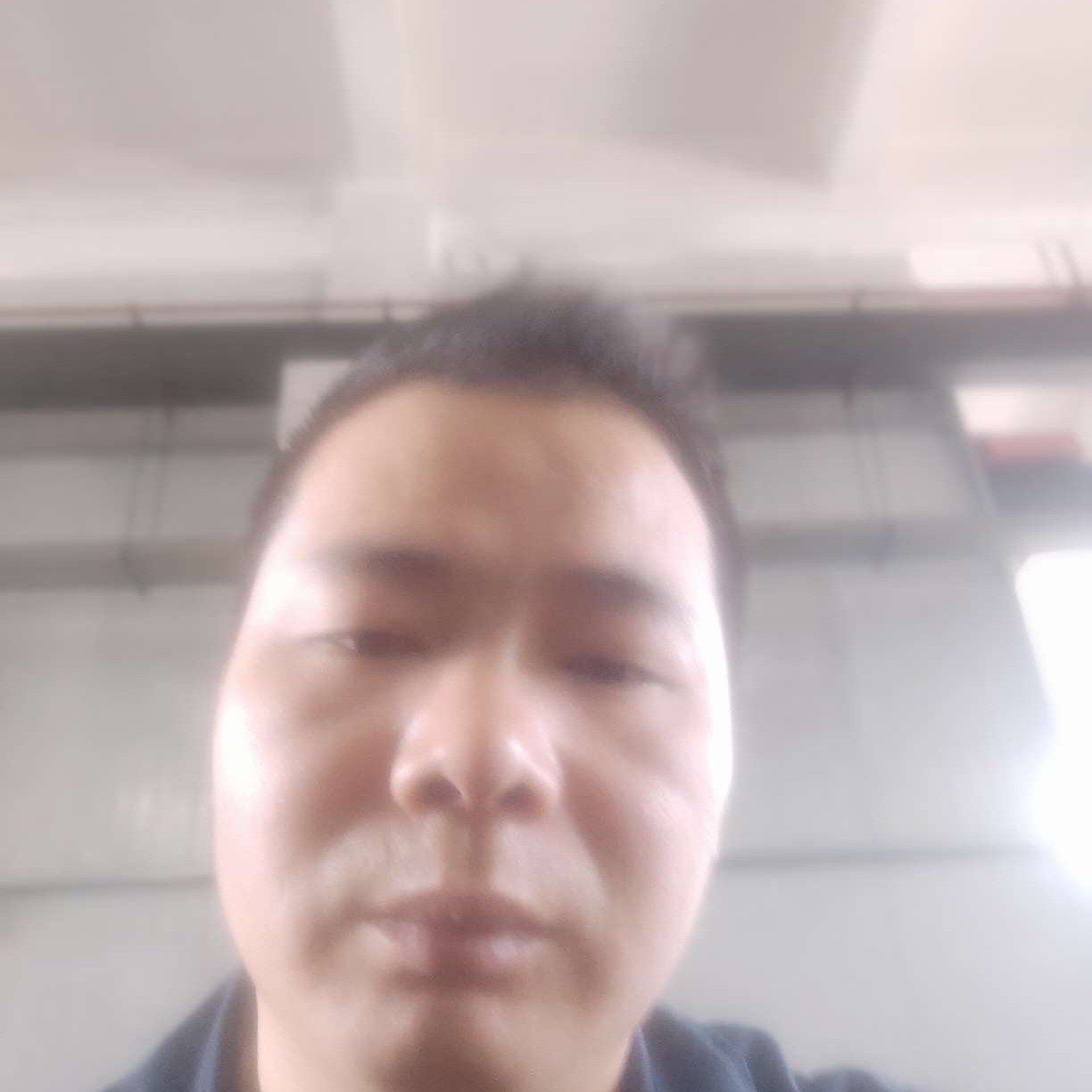 狗潇洒你爹日服的照片