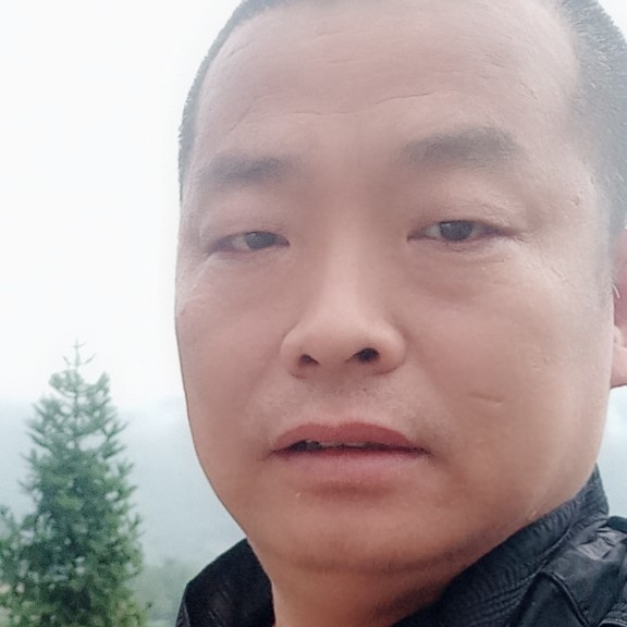 勤劳爱情的照片