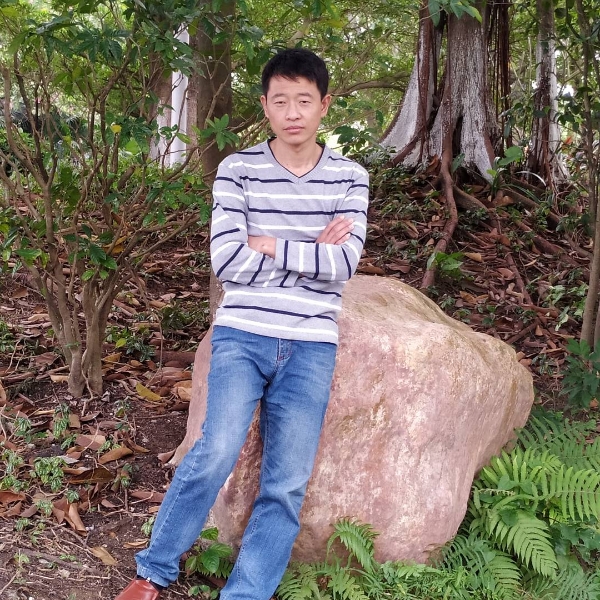 心灵美請大树的照片