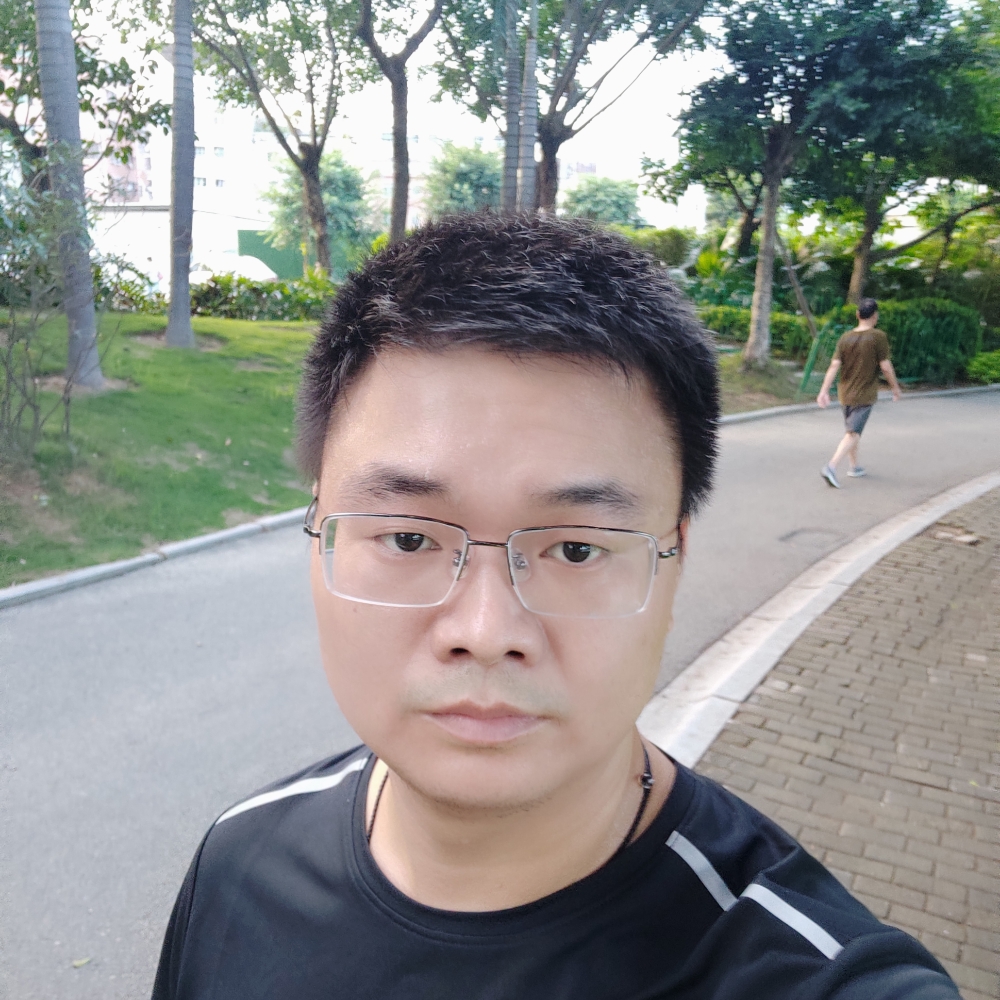 迷路老虎的照片