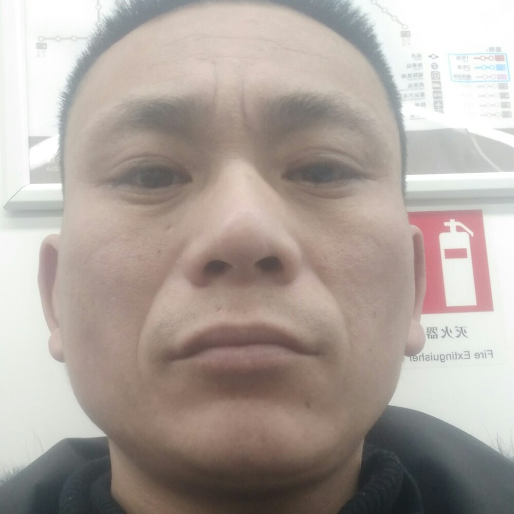 大托的照片