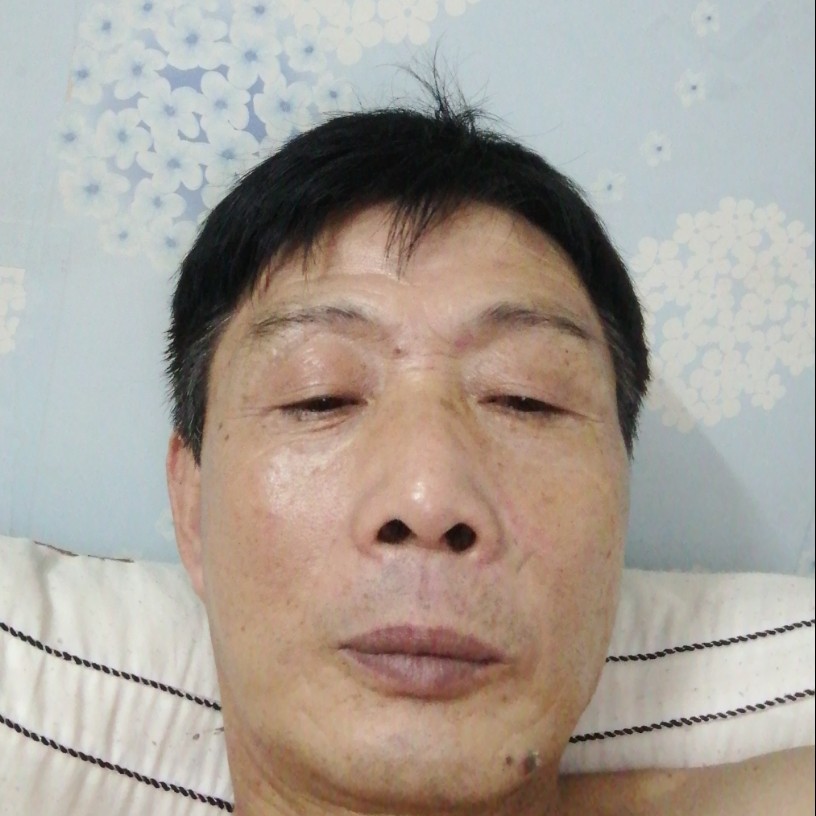 老实迎汽车的照片