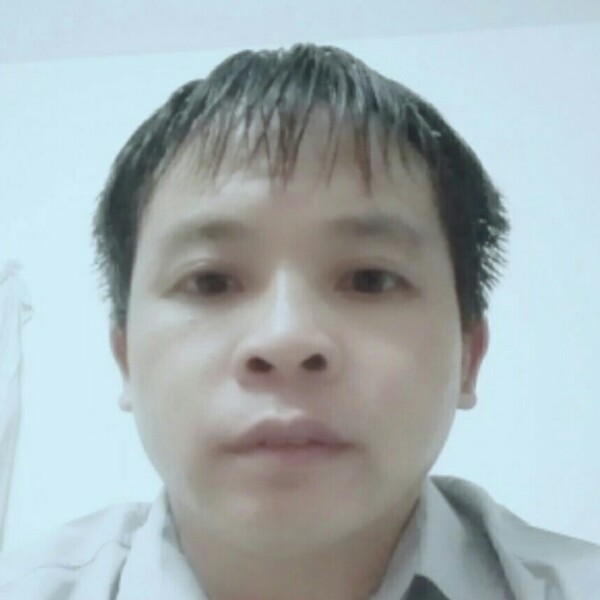 鼠标典雅的照片
