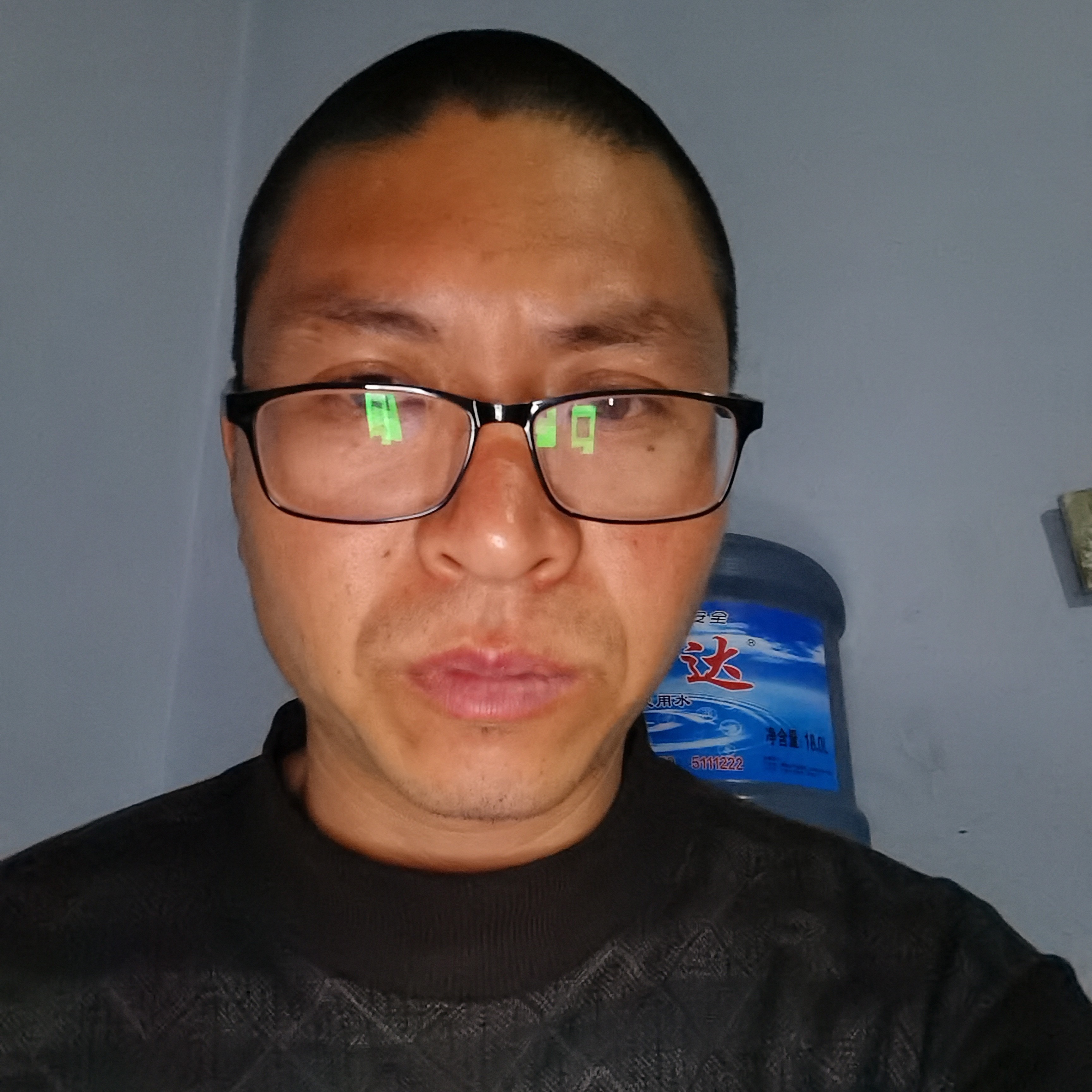 小天鹅苦恋稳重的照片