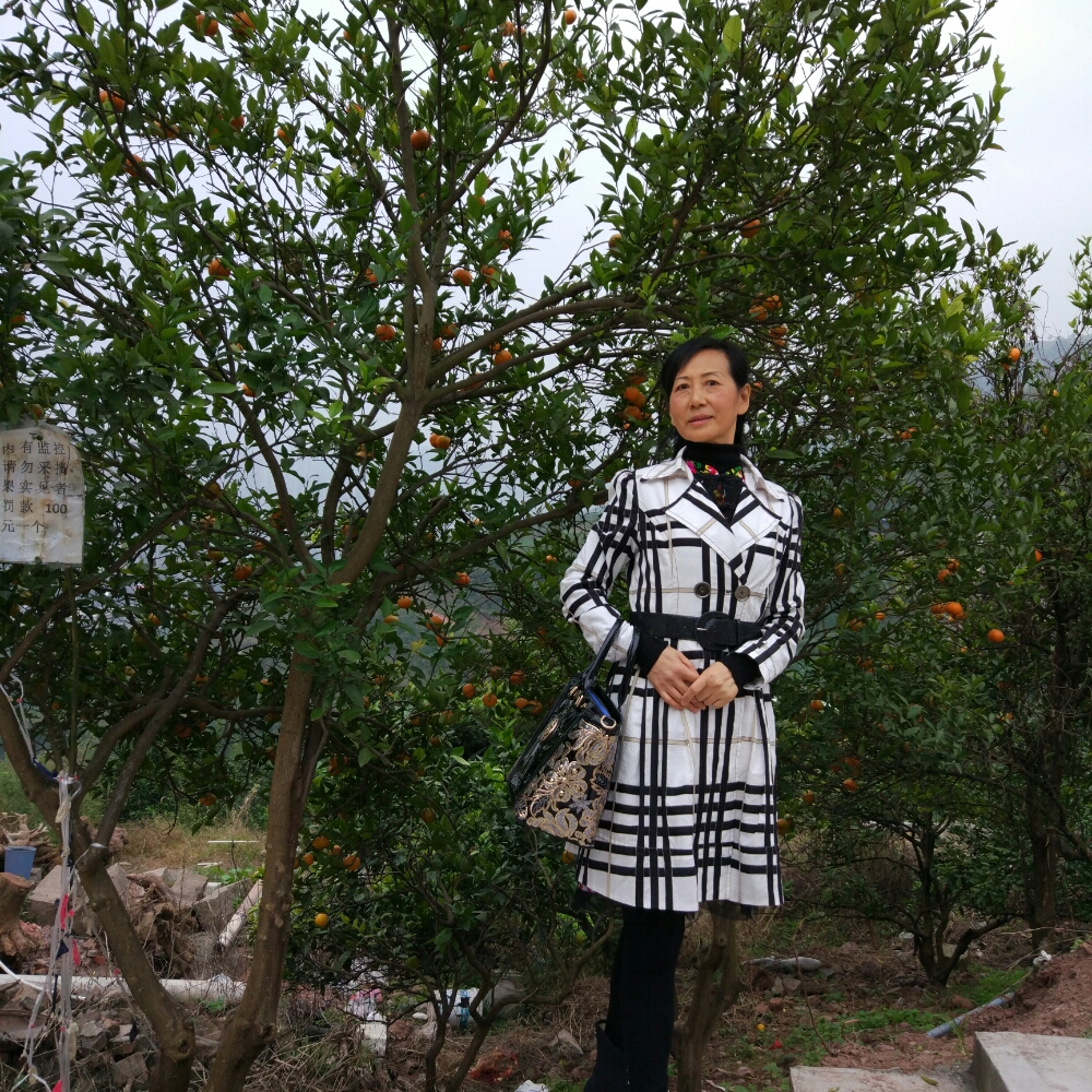 悠悠逸然的照片