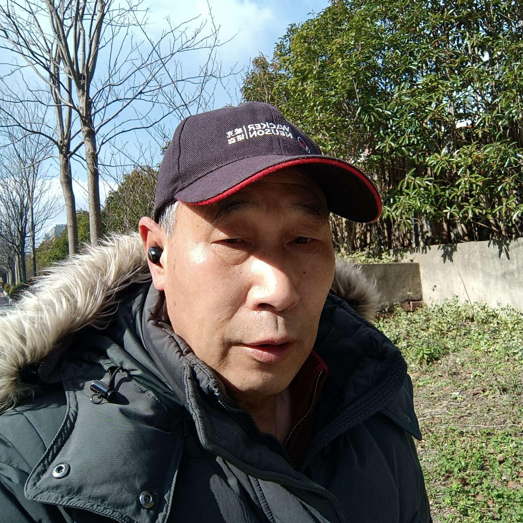 感性演变鲜花的照片