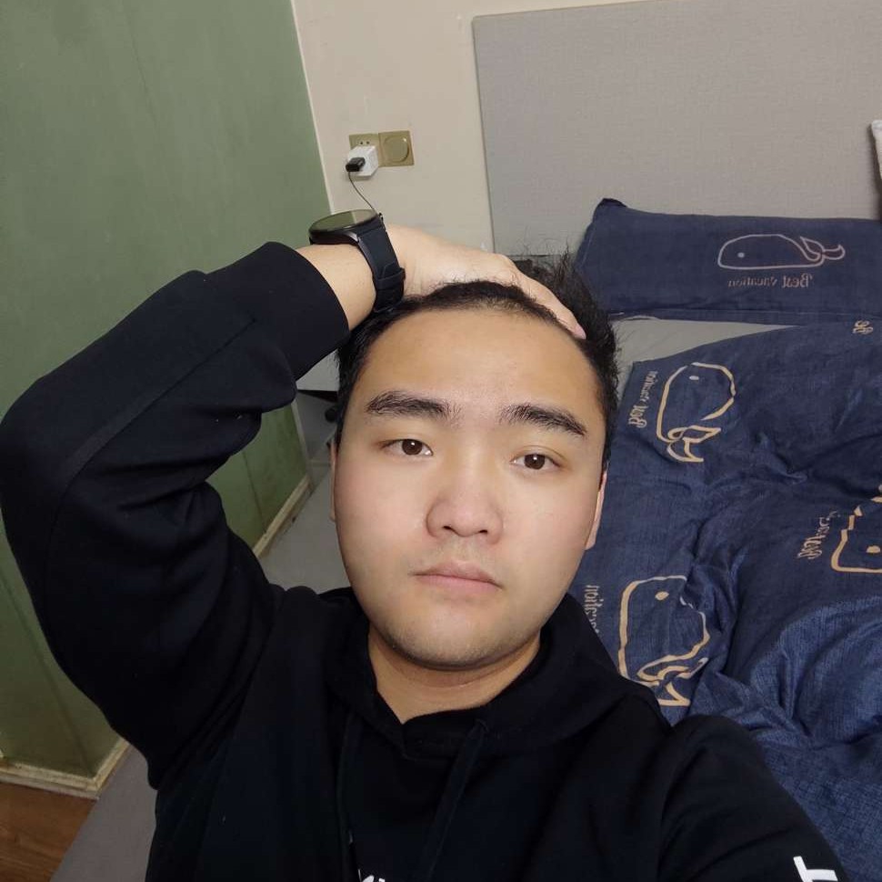 满腔孤勇的照片