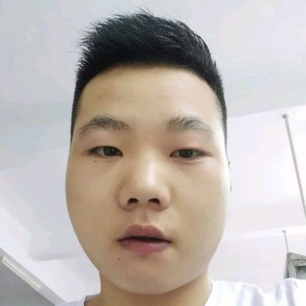 小白菜邂逅安详的照片
